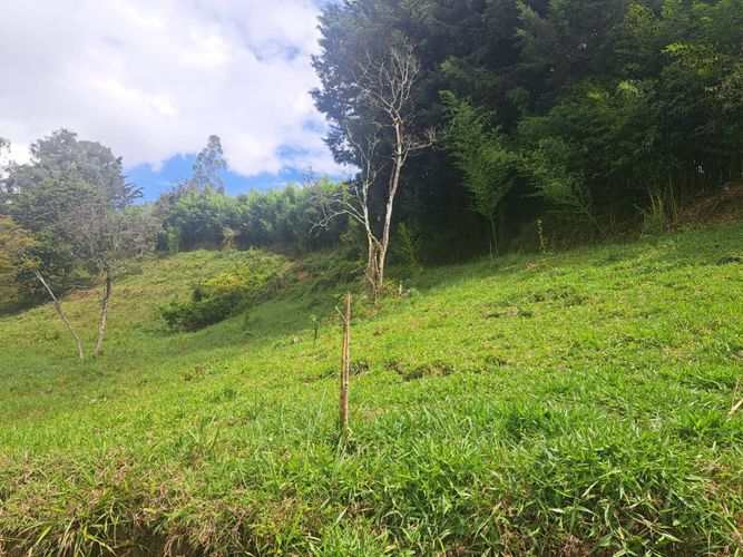 Finca en venta en Vergel, Rionegro, 150 m² · foto 11 de 12