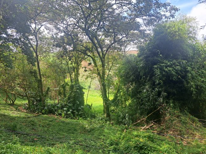 Finca en venta en Vergel, Rionegro, 150 m² · foto 12 de 12