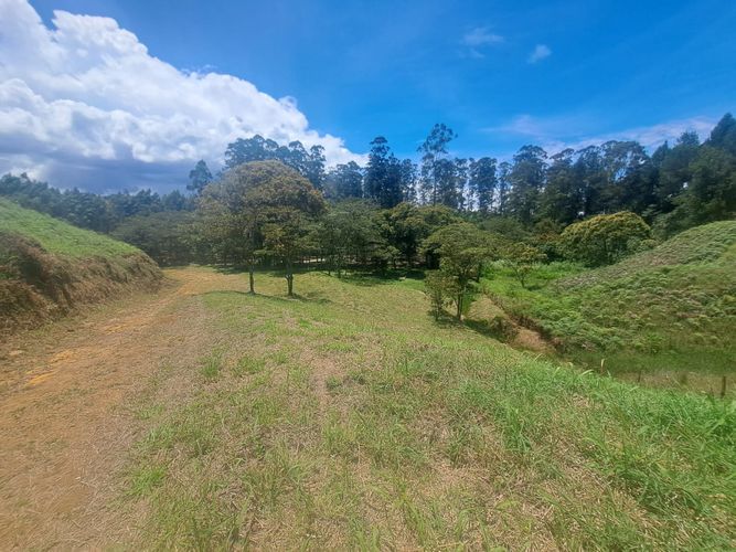 Lote en venta en Cimarronas, Rionegro, 6108 m² · foto 17 de 24