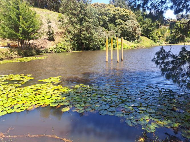 Lote en venta en Cimarronas, Rionegro, 6108 m² · foto 21 de 24