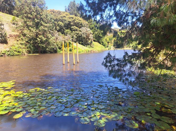 Lote en venta en Cimarronas, Rionegro, 6108 m² · foto 22 de 24