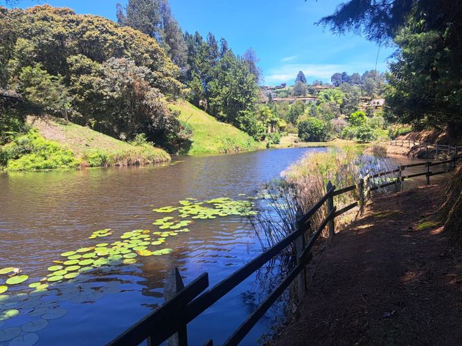 Lote en venta en Cimarronas, Rionegro, 6108 m² · foto 23 de 24