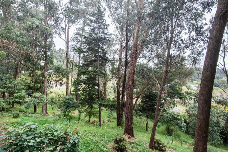 Casa de 3 alcobas en venta en Suba Cerros, Bogotá, 661 m² · foto 6 de 24