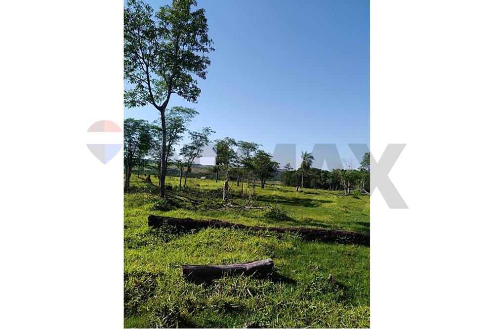 VENDO ESTANCIA EN CANENDIYU — foto 3