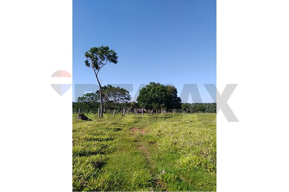 VENDO  Establecimiento Ganadero en Yvyra Róvana, Canindeyú 184 Hectáreas — foto 2