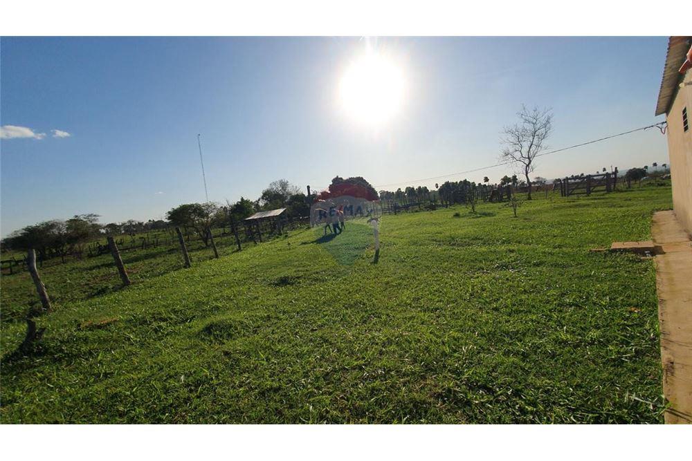 VENDO 60 HECTAREAS EN CURUGUATY — foto 3