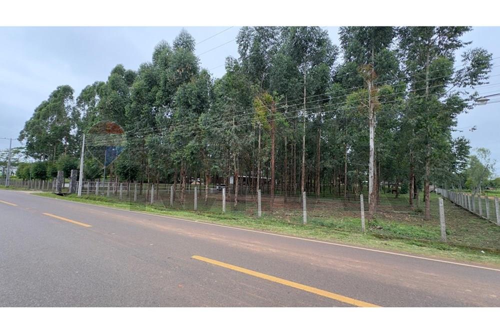 VENDO ESTANCIA EN PRIMERO DE MARZO - ARROYOS Y ESTEREOS — foto 2