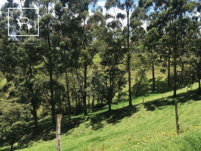 Lote en venta en El Carmen De Viboral, El Carmen de Viboral, 75 m² · foto 3 de 3