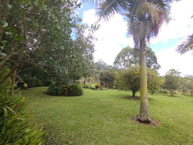 Finca en arriendo en La Ceja, 2800 m² · foto 15 de 15
