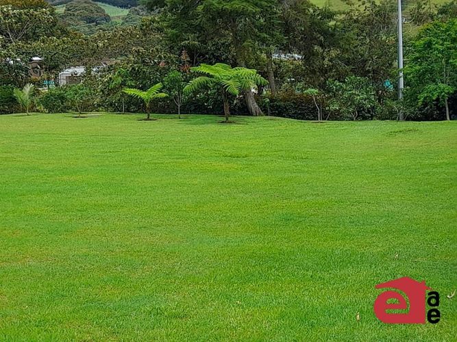 Lote en venta en El Carmen De Viboral, El Carmen de Viboral, 2347 m² · foto 3 de 6