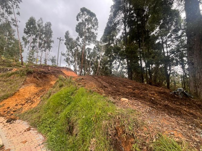 Lote en venta en Las Palmas, Envigado, 1500 m² · foto 2 de 5