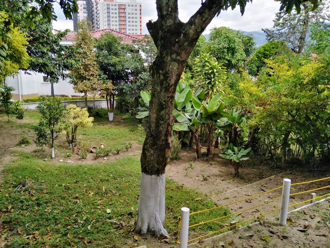 Casa de 5 alcobas en venta en Norte De Armenia, Armenia, 400 m² · foto 10 de 20