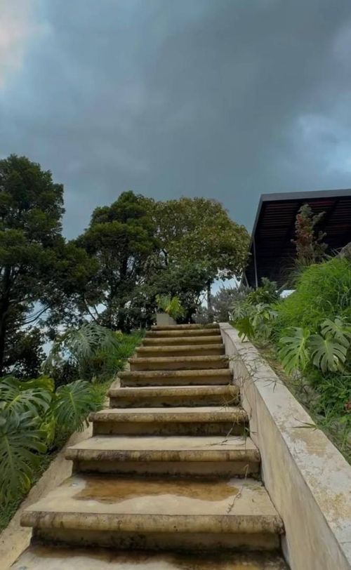 Finca en arriendo en Loma Del Escobero, Envigado, 315 m² · foto 15 de 21