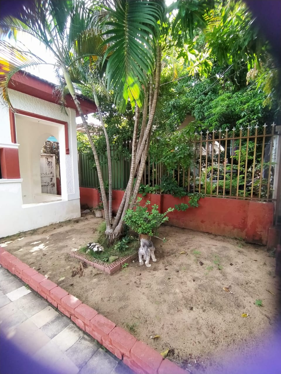 Casa en venta en El Prado, Barranquilla · foto 21 de 24