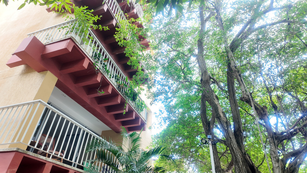 Apartamento en venta en El Prado, Barranquilla · foto 2 de 24