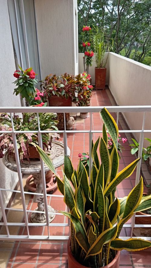 Apartamento de 3 alcobas en venta en Cañaveral, Floridablanca, 114 m² · foto 4 de 13