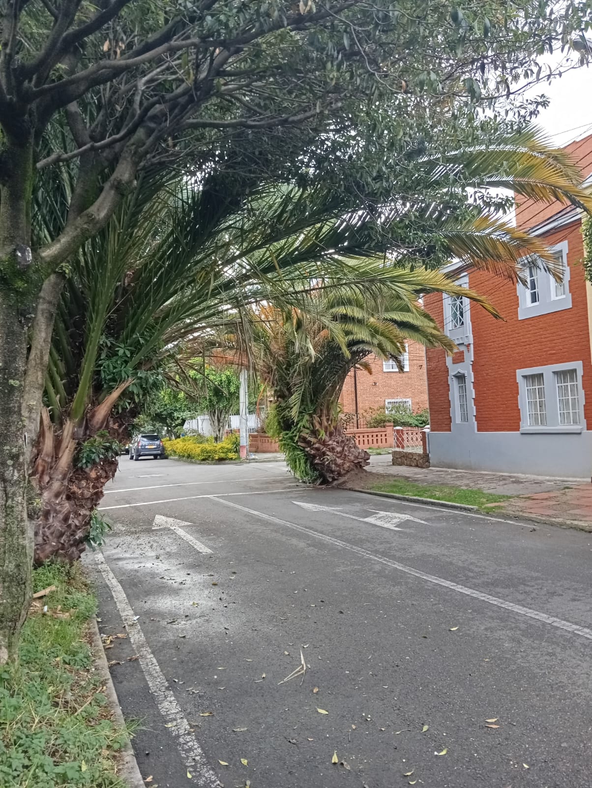Casa en venta en Chapinero, Bogotá · foto 6 de 21