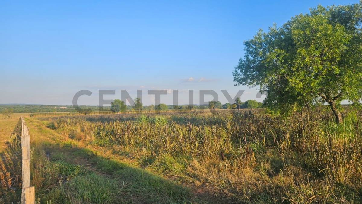 Venta de Estancia/Ganadera en Ybycuí, Paraguarí — foto 3