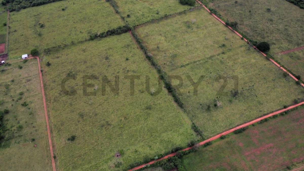 Venta de Estancia/Ganadera en Ybycuí, Paraguarí — foto 3