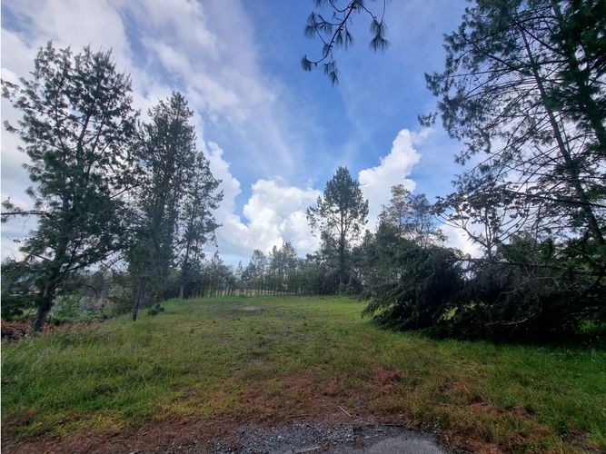 Lote en venta en Loma Del Escobero, Envigado, 4476 m² · foto 3 de 10