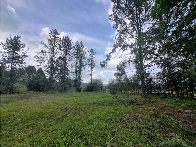 Lote en venta en Loma Del Escobero, Envigado, 4476 m² · foto 6 de 10