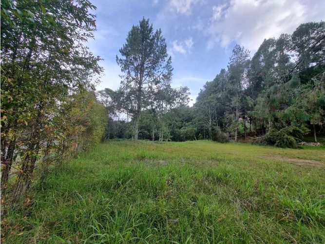 Lote en venta en Loma Del Escobero, Envigado, 4476 m² · foto 8 de 10