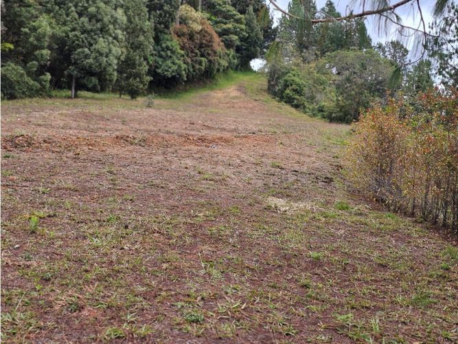 Lote en venta en Los Salados, El Retiro, 11646 m² · foto 2 de 7