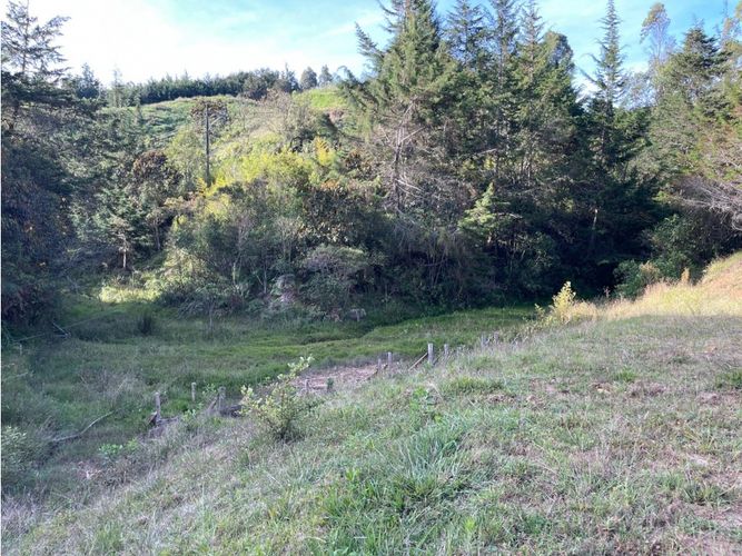 Lote en venta en Pantanillo, El Retiro, 4800 m² · foto 9 de 13