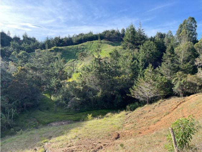 Lote en venta en Pantanillo, El Retiro, 4800 m² · foto 10 de 13