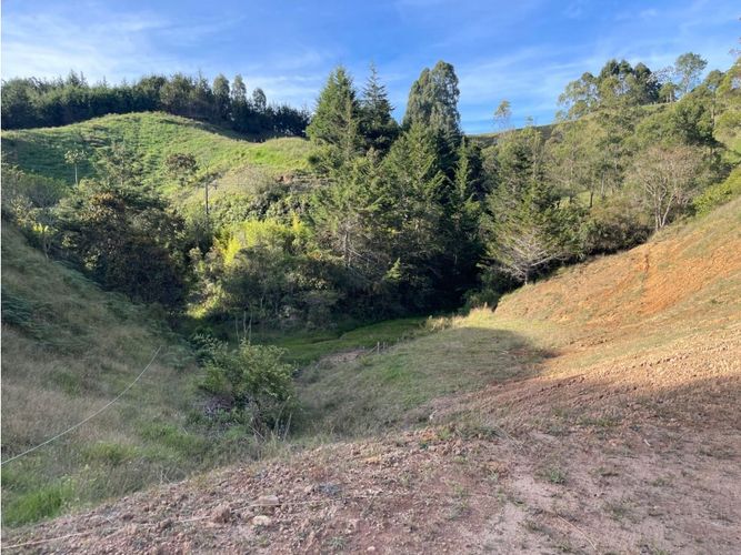 Lote en venta en Pantanillo, El Retiro, 4800 m² · foto 11 de 13