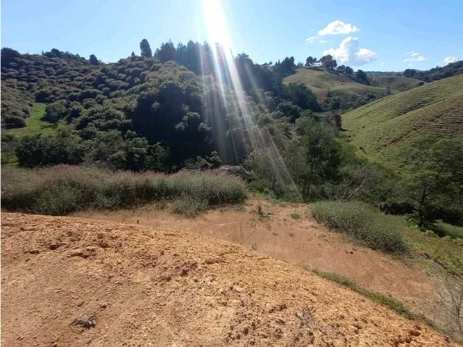 Lote en venta en Llano Grande, Rionegro, 1655 m² · foto 3 de 9