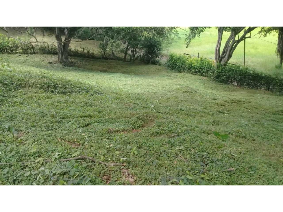 Land in Paso real (4727 m²) for Sale - 4