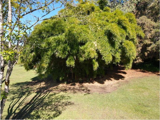 Finca en venta en Chaparral, Guarne, 380 m² · foto 15 de 20