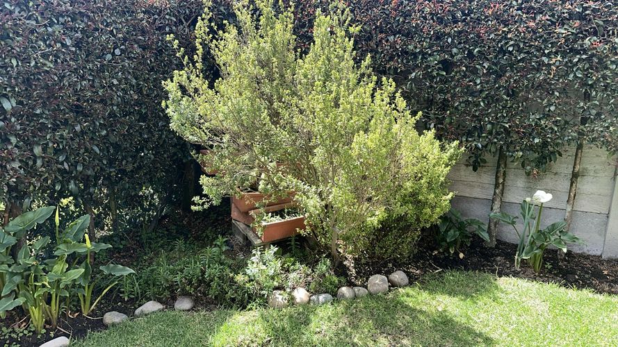 Casa de 3 alcobas en venta en La Estrella, Chía, 205 m² · foto 20 de 24
