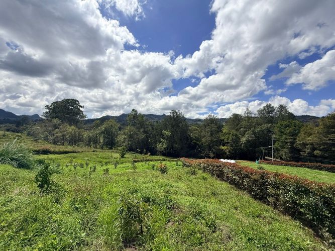 Lote en venta en El Porvenir, Rionegro, 3452 m² · foto 7 de 16