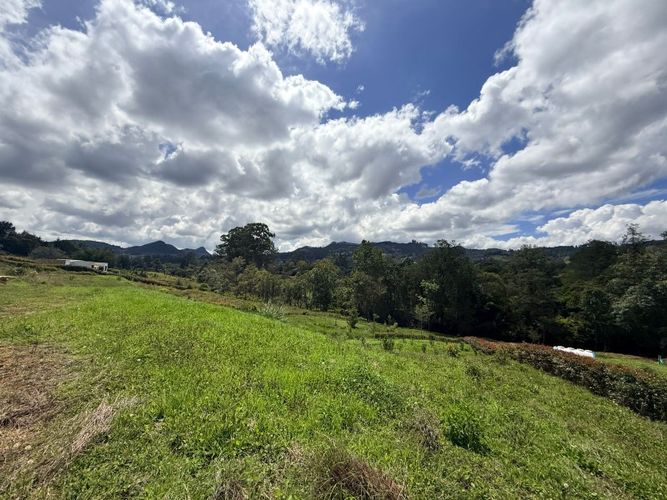 Lote en venta en El Porvenir, Rionegro, 3452 m² · foto 9 de 16