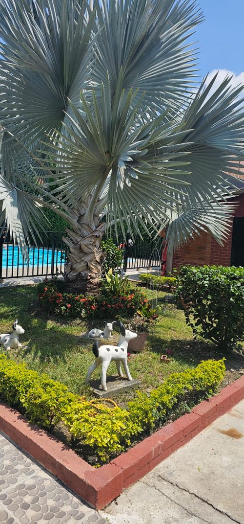 Apartamento de 3 alcobas en venta en La Nueva Base, Cali, 59 m² · foto 3 de 12