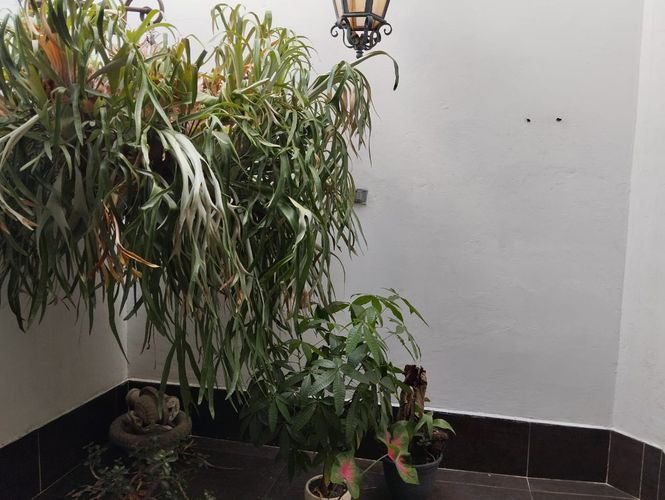 Casa de 4 alcobas en venta en La Mota, Medellín, 130 m² · foto 17 de 18