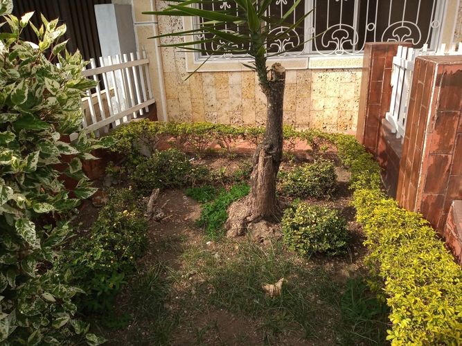 Casa en venta en Los Pinos, Bucaramanga, 263 m² · foto 9 de 24