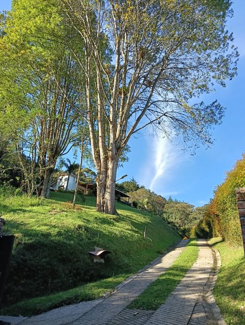 Finca en arriendo en El Tablazo, Rionegro, 2800 m² · foto 13 de 24