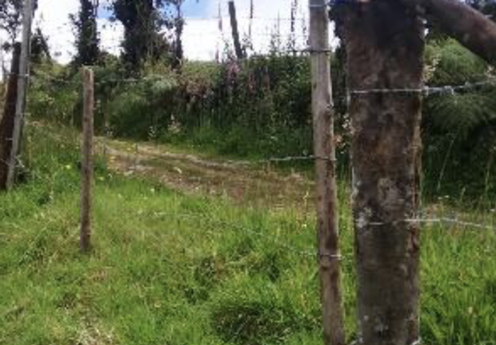 Lote en venta en Vereda El Salitre, La Calera, 38400 m² · foto 11 de 20