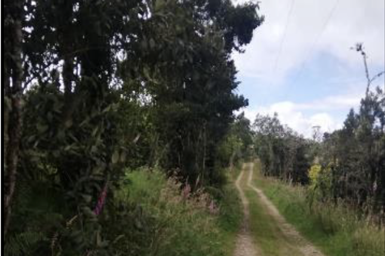 Lote en venta en Vereda El Salitre, La Calera, 38400 m² · foto 12 de 20