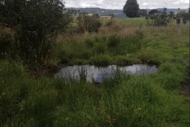 Lote en venta en Vereda El Salitre, La Calera, 38400 m² · foto 16 de 20