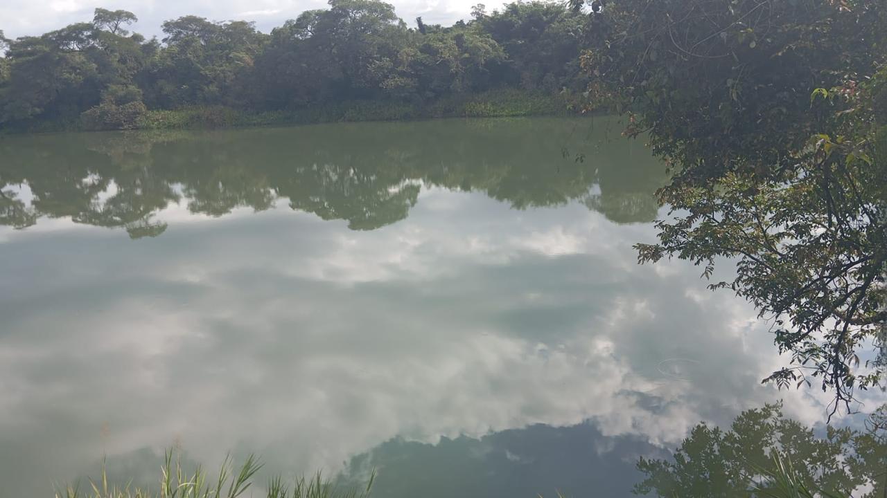 Propiedad agrícola de 49 hectáreas en Minga Guazú – Km 28 Acaray — foto 3