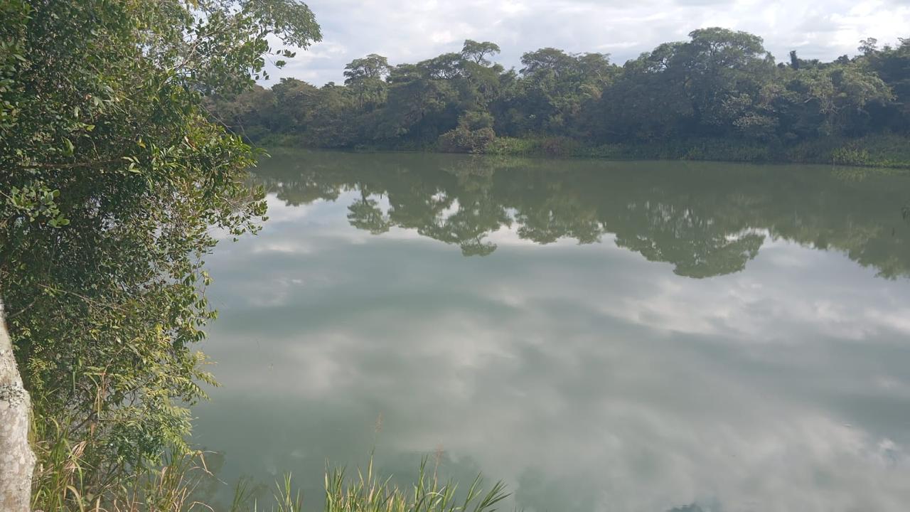 Propiedad agrícola de 49 hectáreas en Minga Guazú – Km 28 Acaray — foto 2