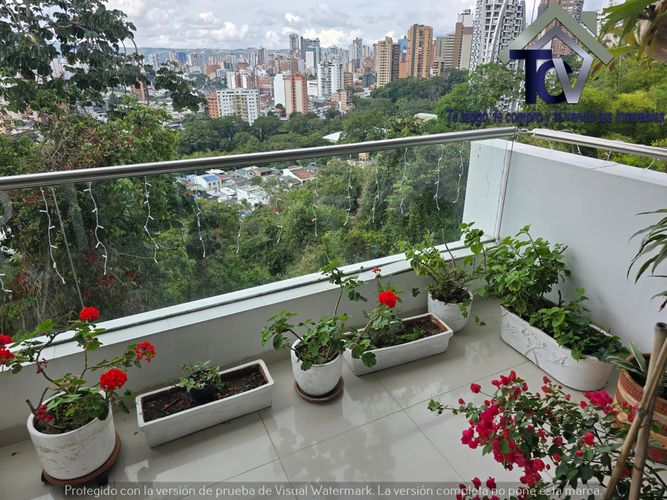 Apartamento de 3 alcobas en venta en Pan De Azucar, Bucaramanga, 152 m² · foto 9 de 24