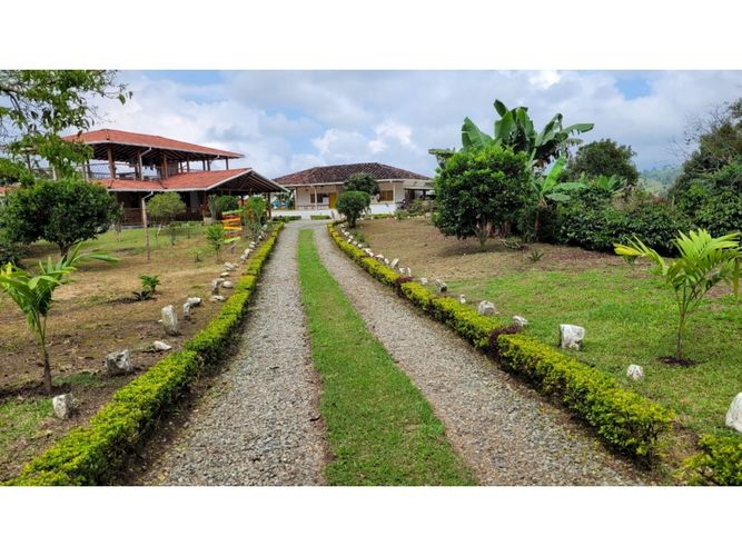 Finca en venta en Centro, Armenia, 27400 m² · foto 6 de 8