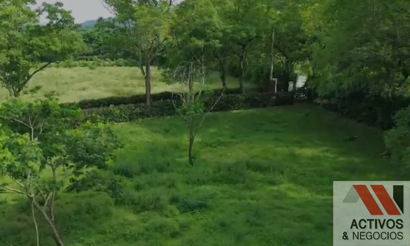 Land in Santafe de antioquia for Sale - 3
