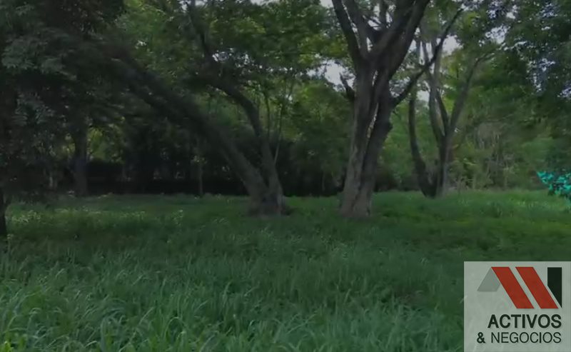 Land in Santafe de antioquia for Sale - 4