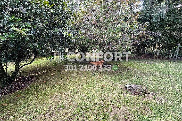 Casa de 3 alcobas en arriendo en Las Palmas, Envigado, 500 m² · foto 10 de 10